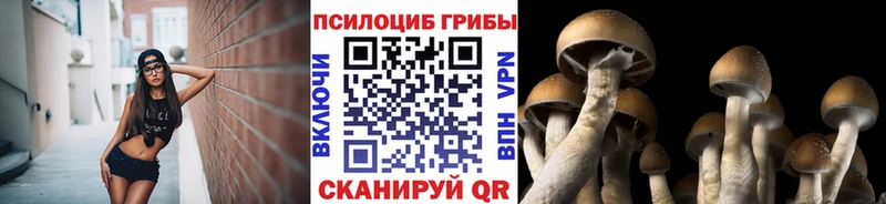 наркотики Орлов Галлюциногенные грибы мухоморы